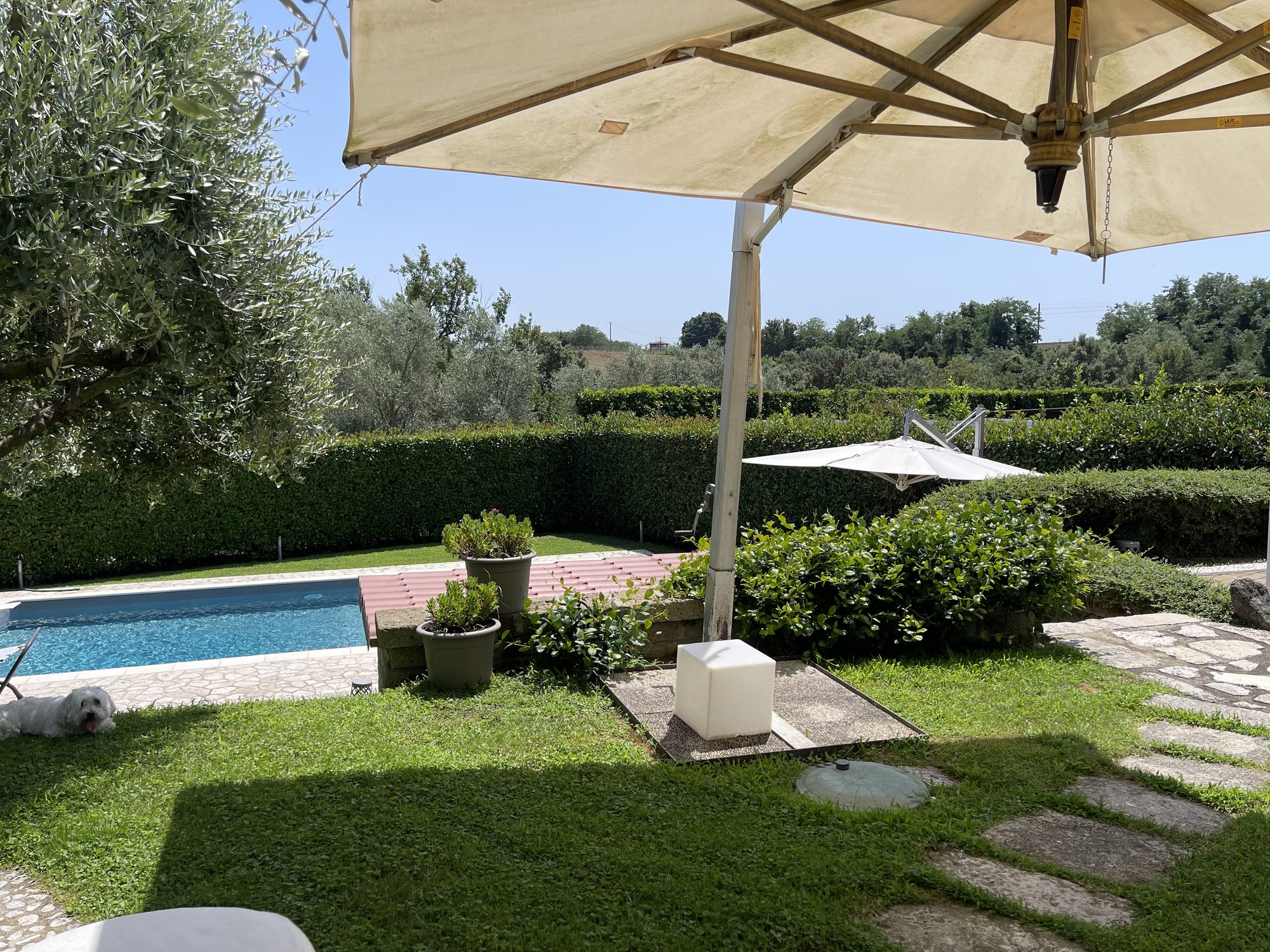 Giardino e piscina di Villa Marilì